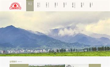 自貢黑羽網(wǎng)絡網(wǎng)頁制作案例-湖北蘄黃時珍藥業(yè)（武漢）有限公司